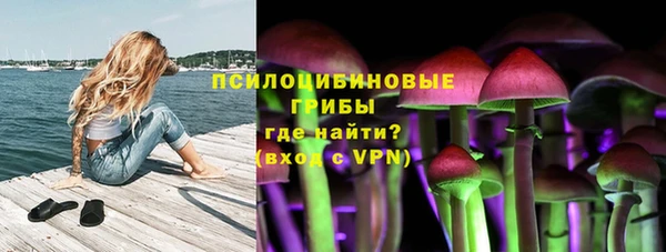 МДПВ Алексин