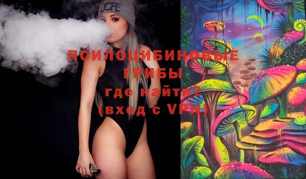 МДПВ Алексин