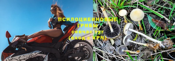 прущие крисы Алзамай