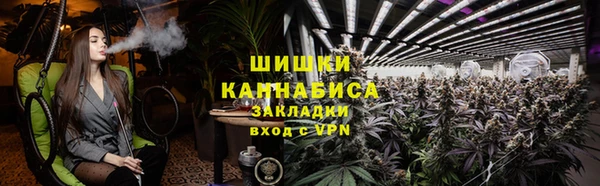сатива Абинск